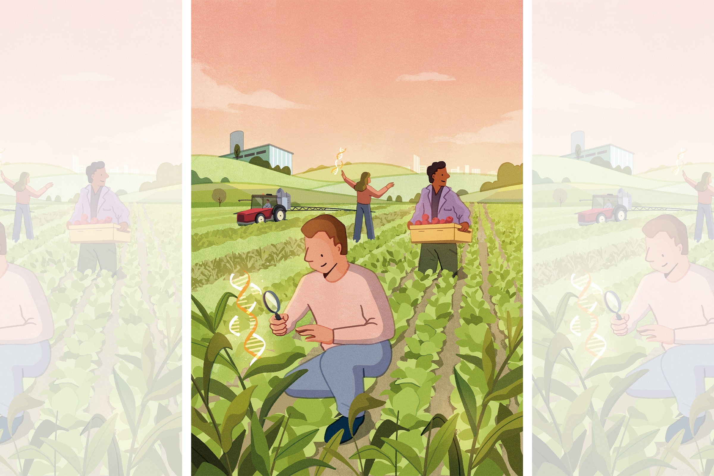 Ilustração de pessoas colhendo colheitas e observando filamentos flutuantes de DNA em um campo agrícola aberto
