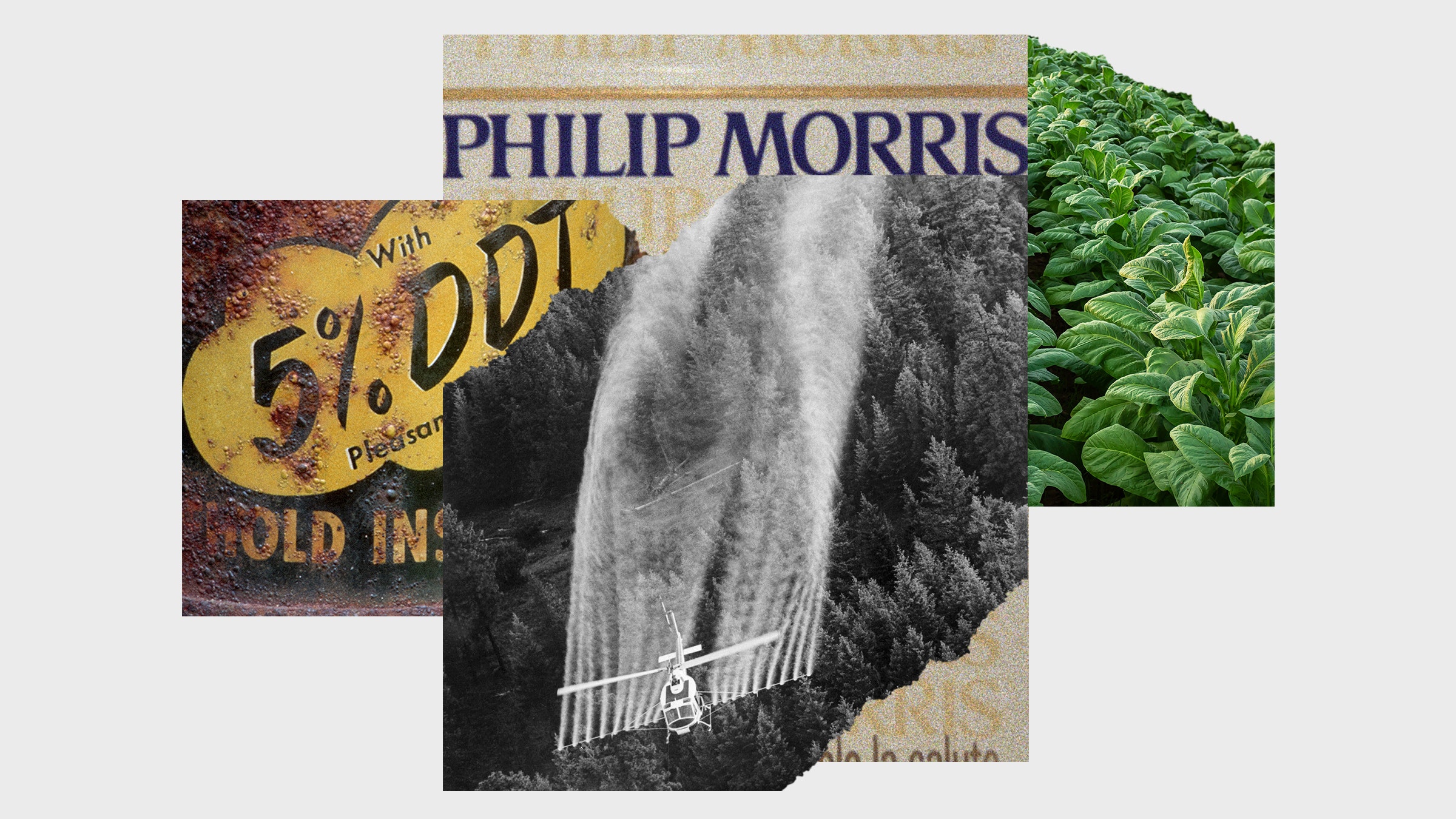 Colagem de imagens do plano de pulverização de DDT Maço de cigarros Philip Morris, plantas de tabaco Rótulo DDT