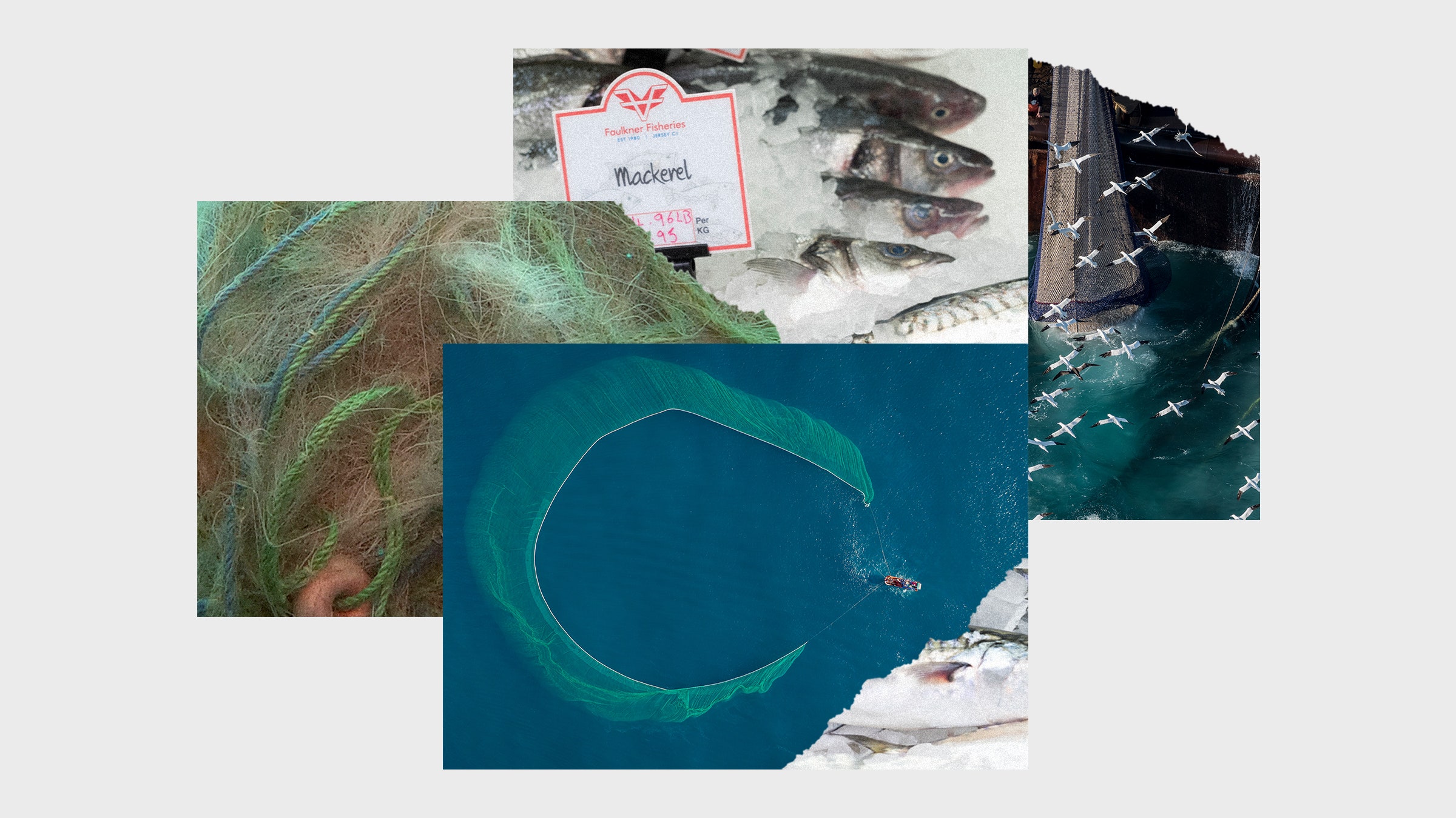 Uma colagem de imagens de barcos do mercado de peixes, caçando grandes redes e redes de pesca confusas sob água