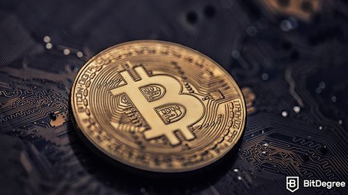 Bitcoin fortalece a posição da segunda maior rede no mercado da NFT