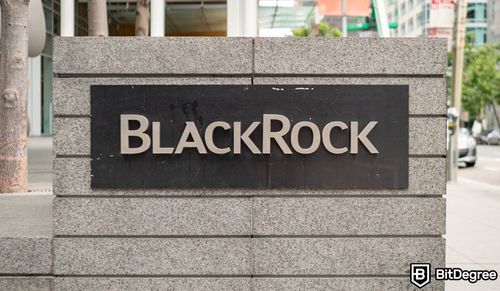 BlackRock toma medidas judiciais contra 44 sites eleitorais