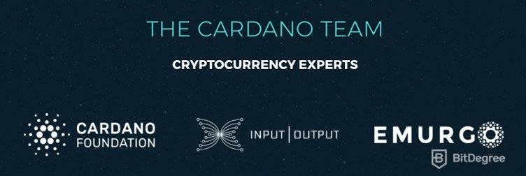Equipe de especialistas em criptomoeda Cardano