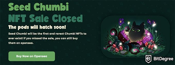 Chumbie Valley Next Axie Infinity: a venda de sementes da Chumbi NFT fechou.