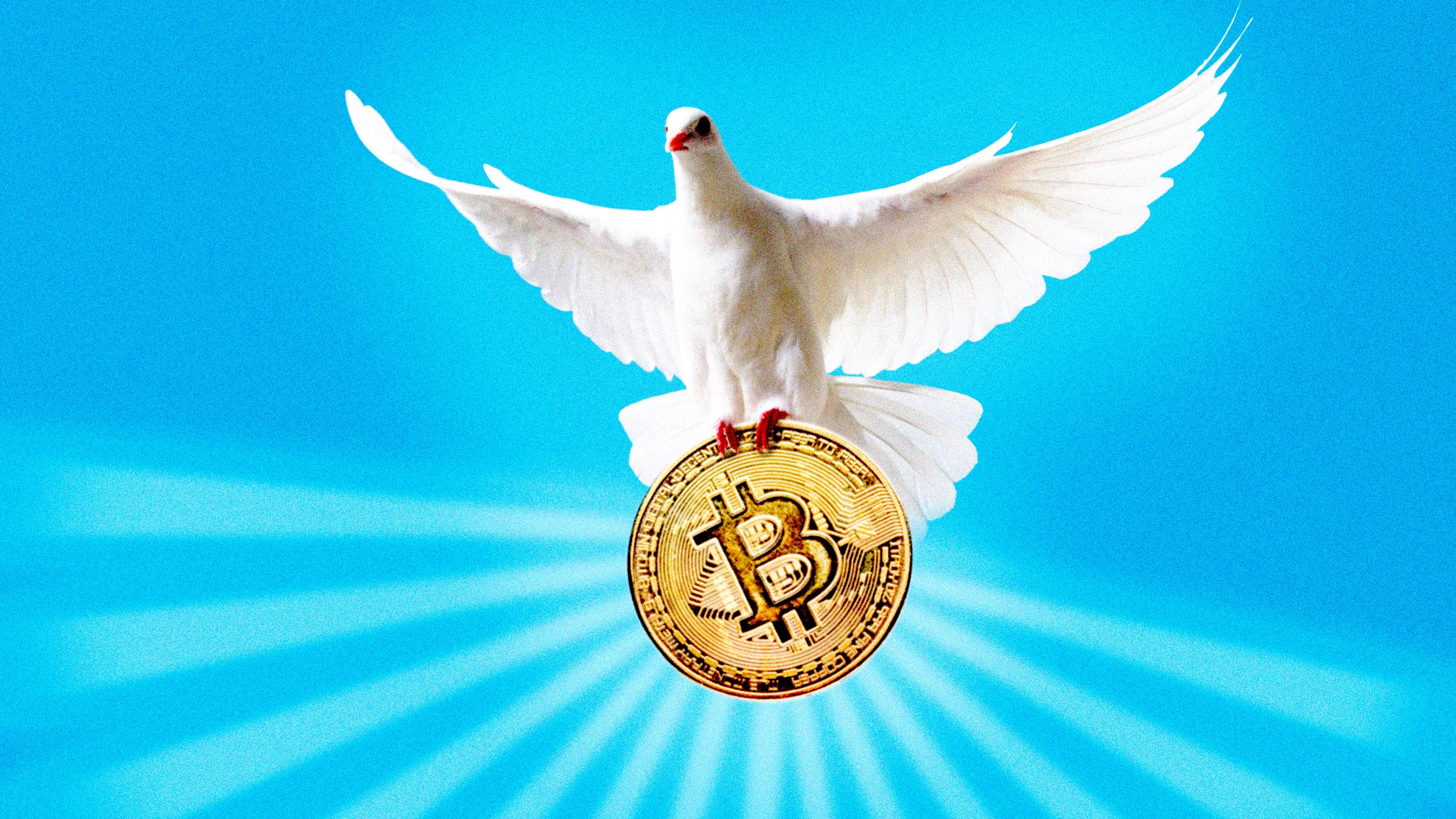 Ilustração de um pombo carregando bitcoin.