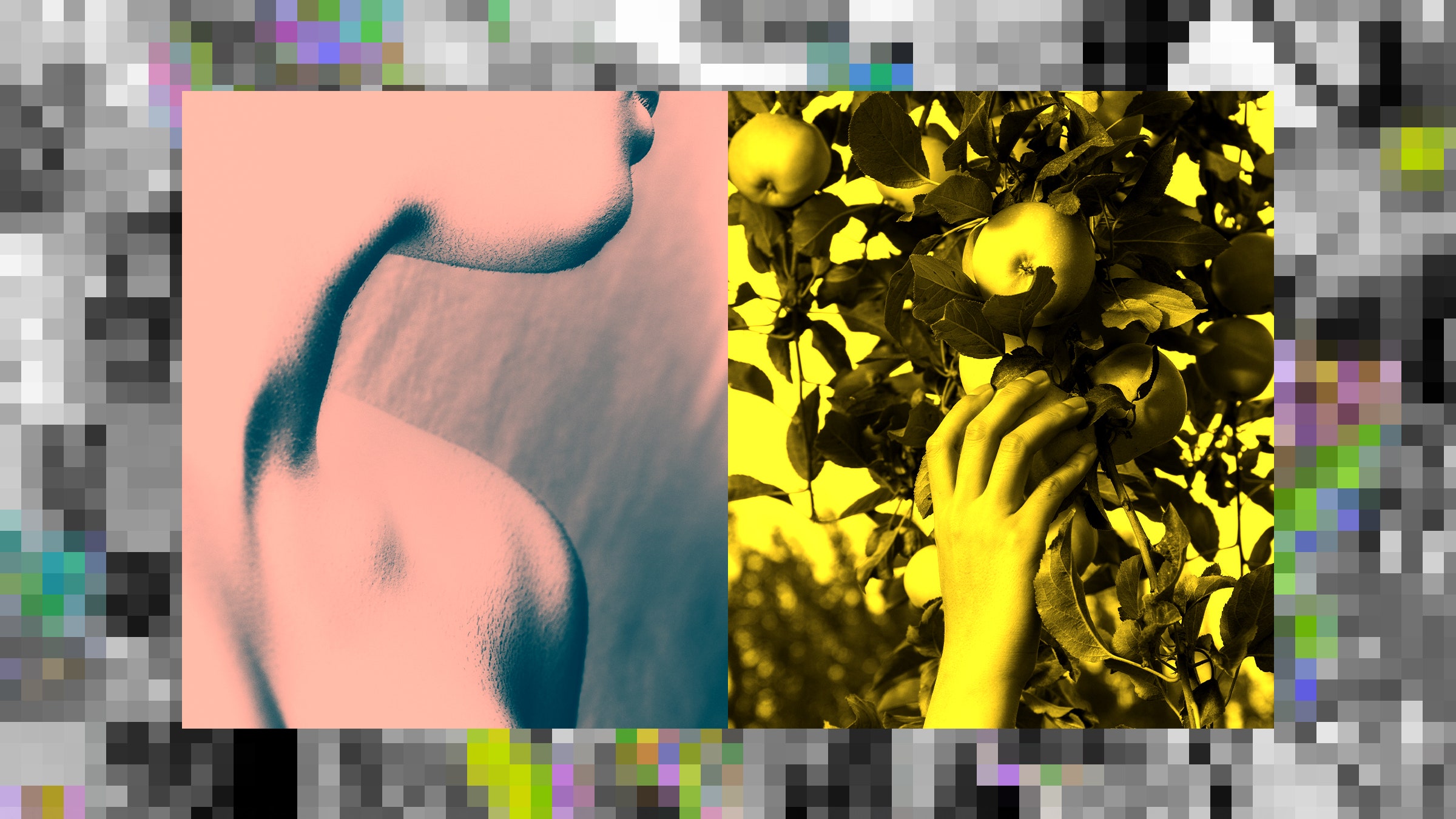 Colagem de fotos de um homem nu cortado, uma mão colhendo uma maçã de uma árvore e pixels