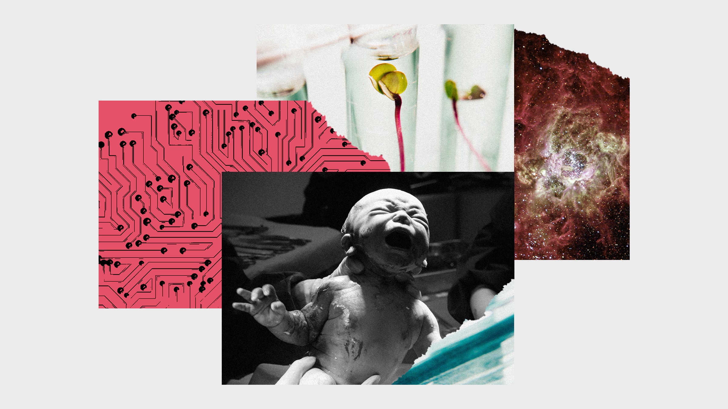 Colagem de fotos com a imagem de um recé m-nascido, plantas em um tubo de ensaio, galáxias e microchip
