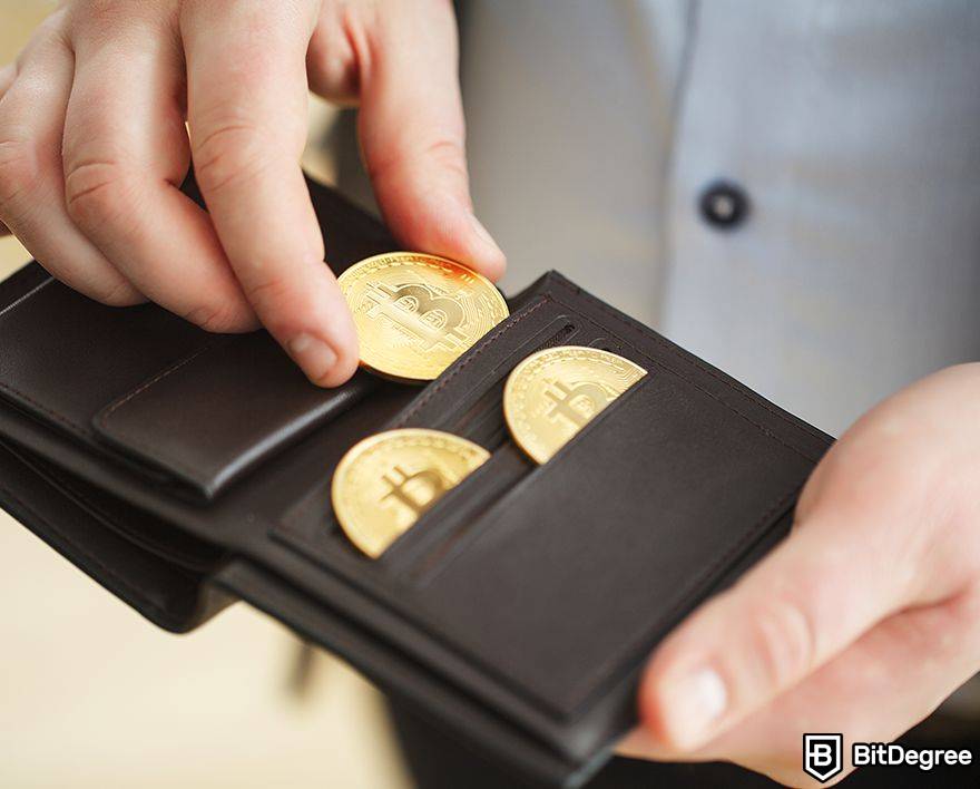 A maior carteira de bitcoin perdida: os bitcoins são inseridos na carteira.