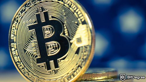 O crescimento da participação de mercado do Bitcoin atingiu dois anos e meio