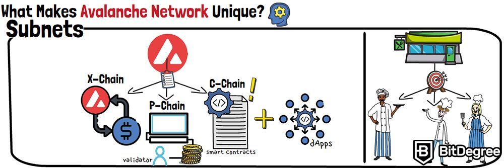 O que é AVAX: O que torna a Avalanche Network única?