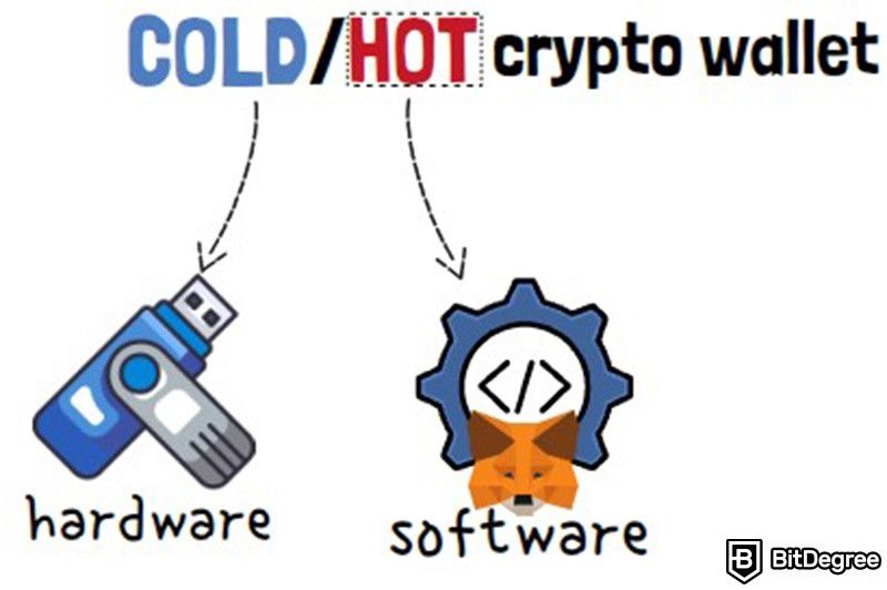 O que é Metamask: Cryptocurns frios e quentes.