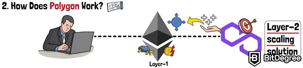 O que é Polygon em criptomoeda: como funciona o Polygon?