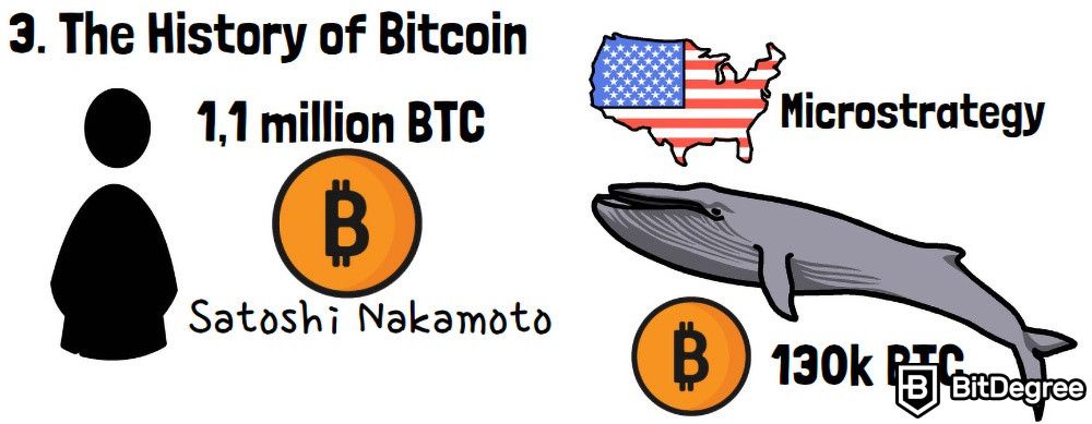 O que é Bitcoin: os maiores suportes do BTC.